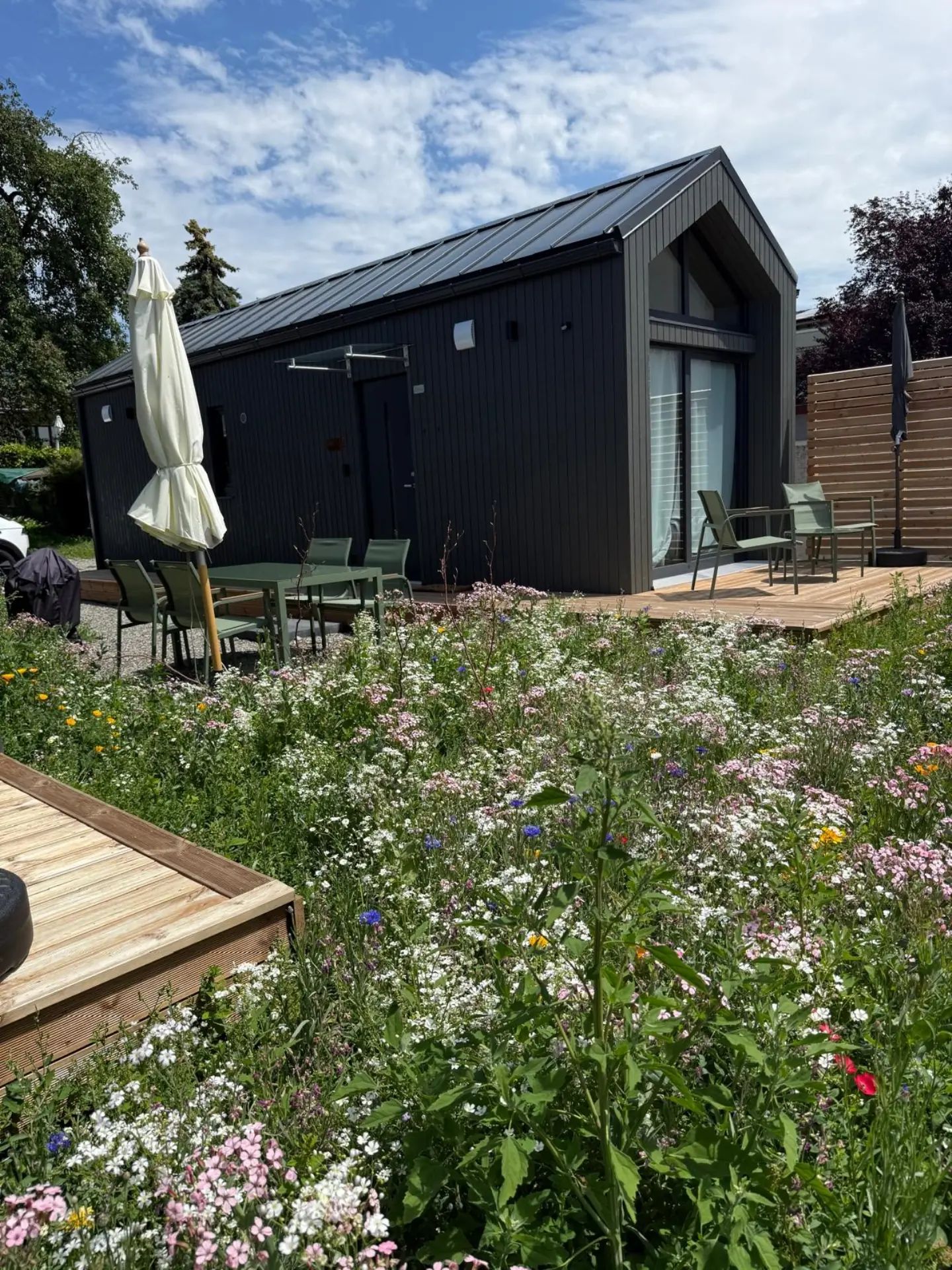 Neu angelegter Garten von Greenday Garten- und Landschaftsbau
