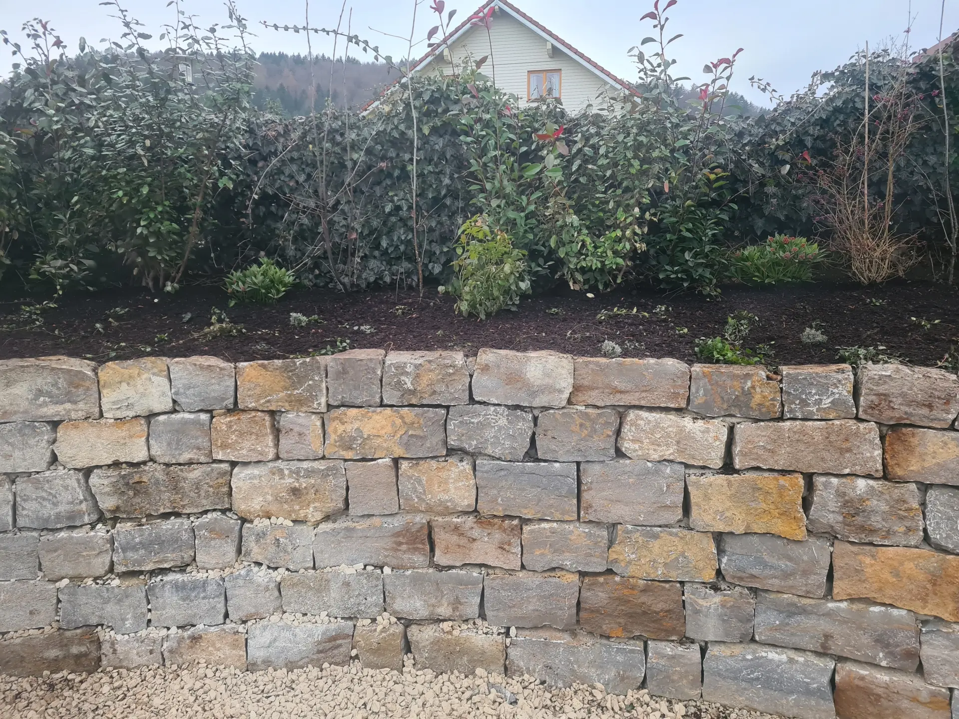 Gartenpflege für neue und jung Pflanzen