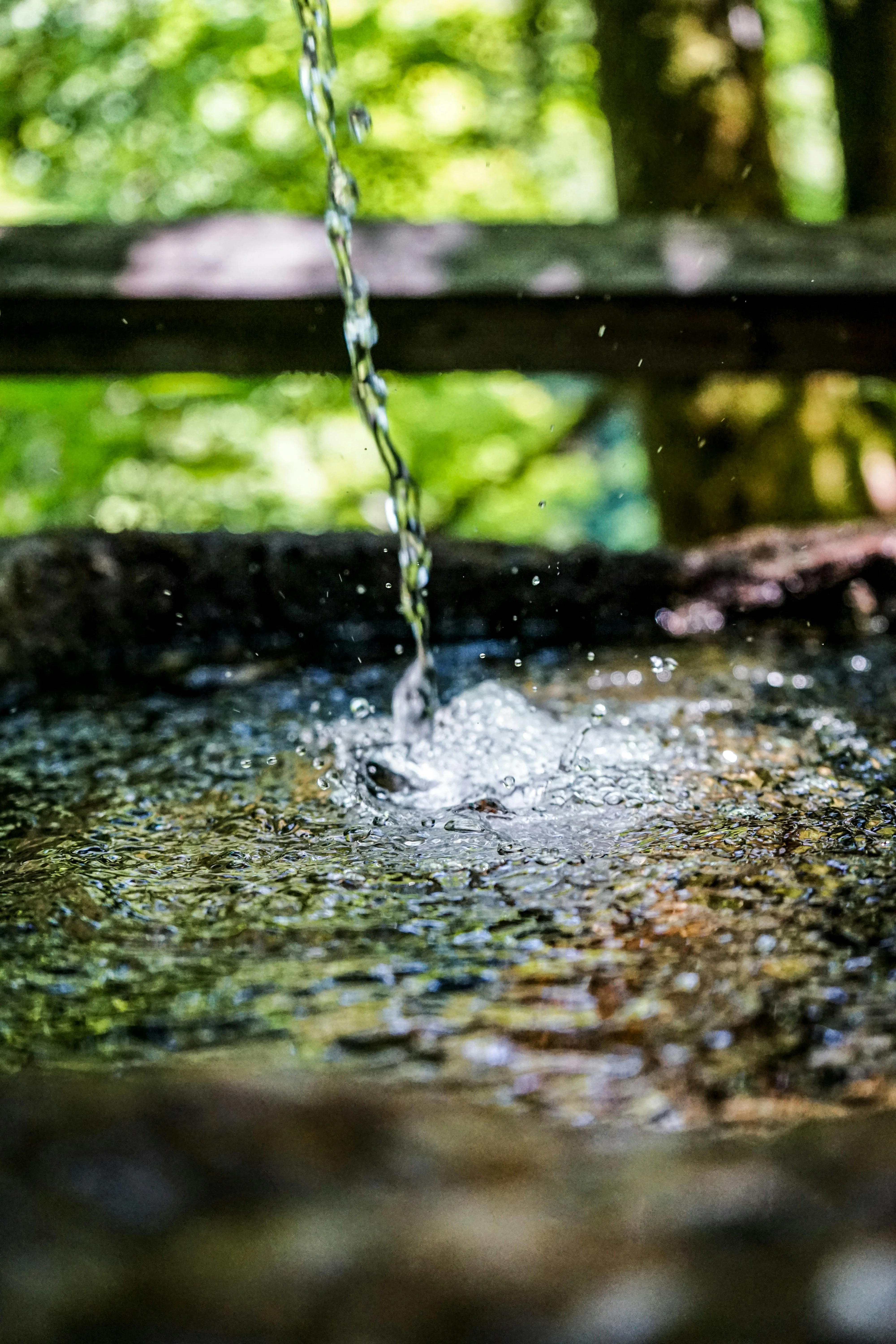 Wasser als Grundlage für gepflegte Gärten, Rasenflächen und junge Bepflanzung
